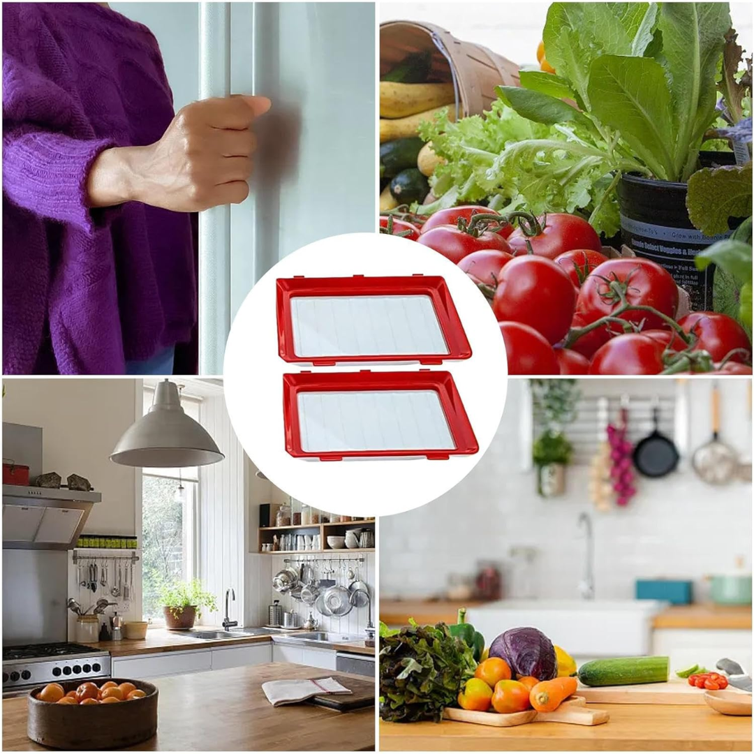 BANDEJAS HERMÉTICAS