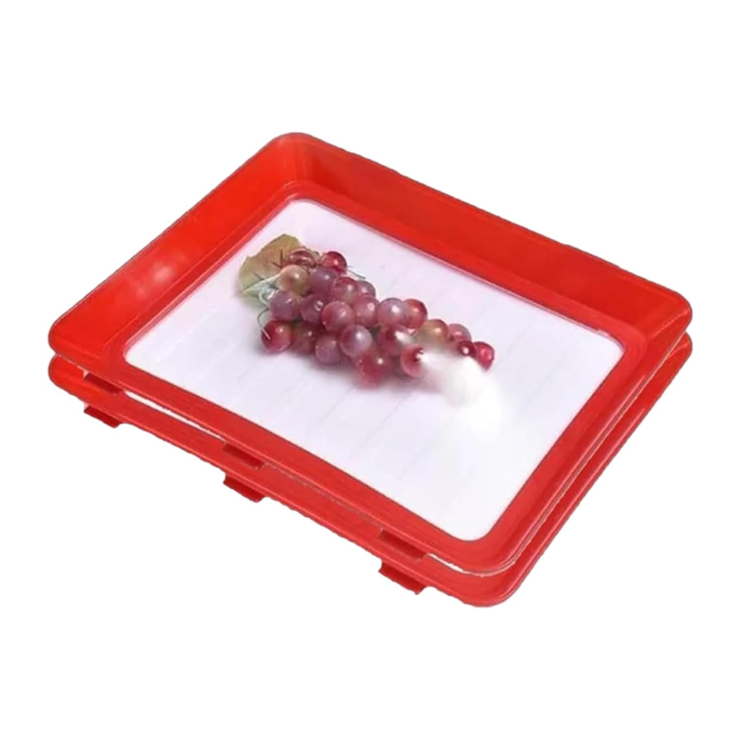 BANDEJAS HERMÉTICAS